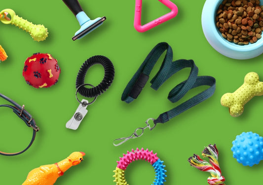 Do You Own a Pet? You Need These Products