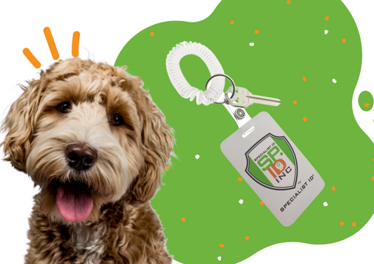 3 Products for Dog Owners on National Puppy Day