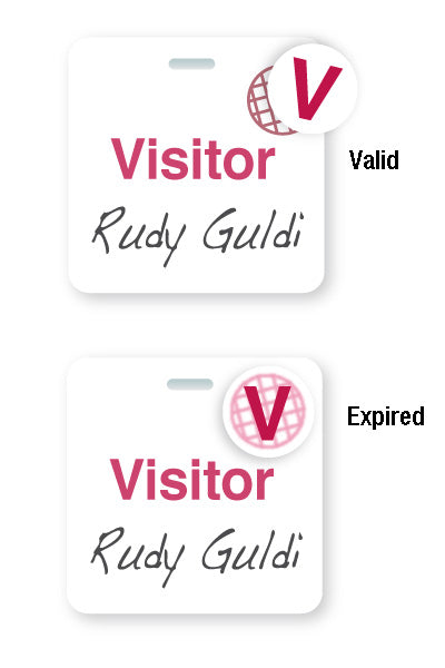 TEMPbadge 05587 clip-on badge back with a TIMEspot expiration area and preprinted VISITOR