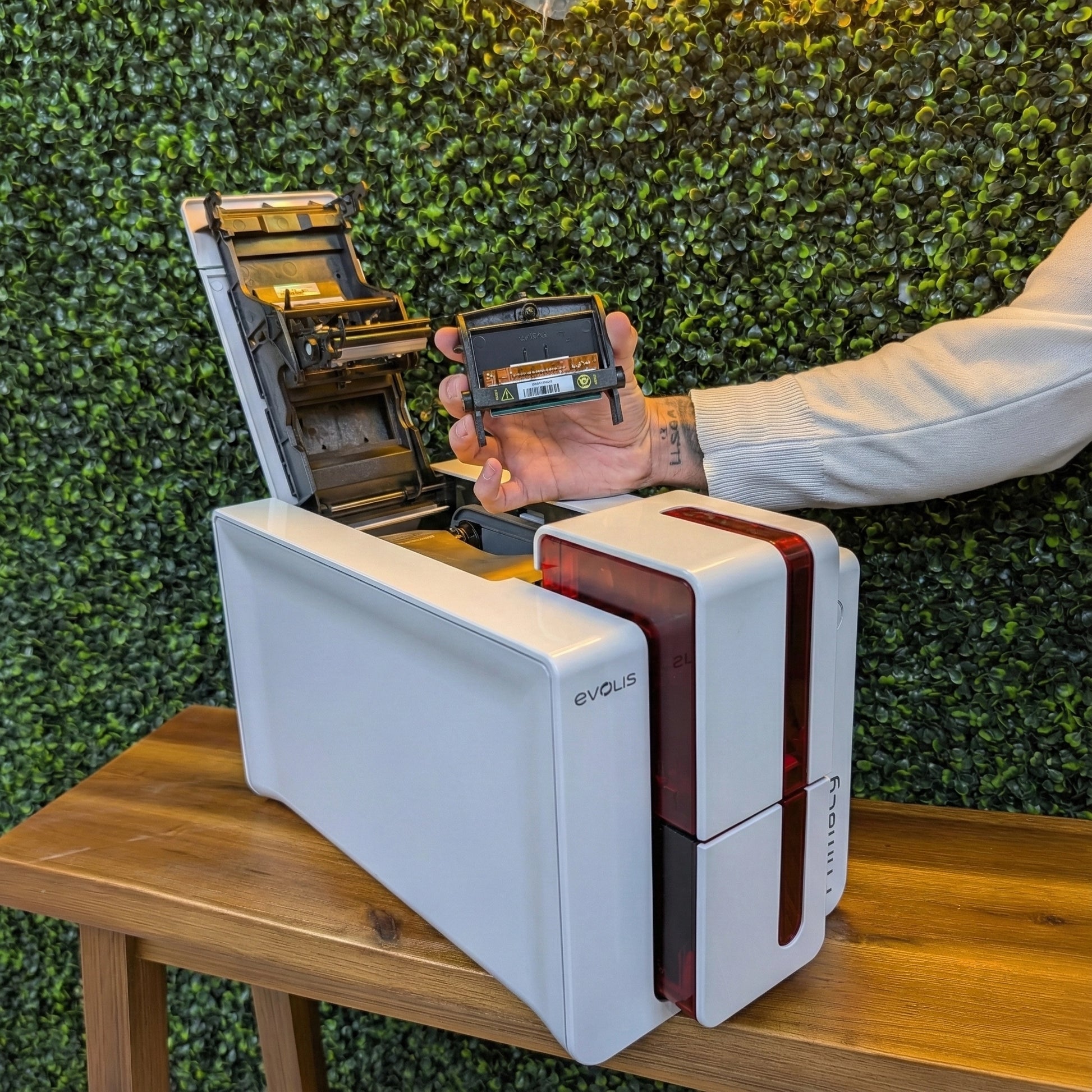 A person holds an Evolis S10084 Replacement Printhead for Zenius & Primacy ID Card Printers above an open printer on a wooden table, with a green plant wall in the background.