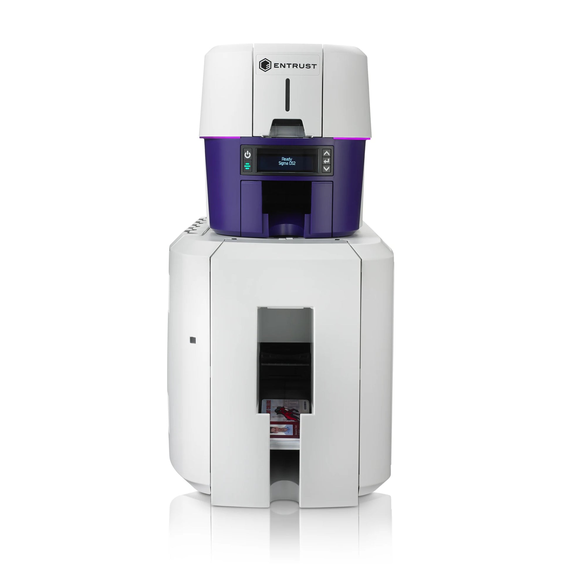 Entrust Sigma DS2 ID card printer with inline CLM lamination module, front view. The white and purple printer sits on top of the white laminator base, and finished laminated cards exit a slot at the front.