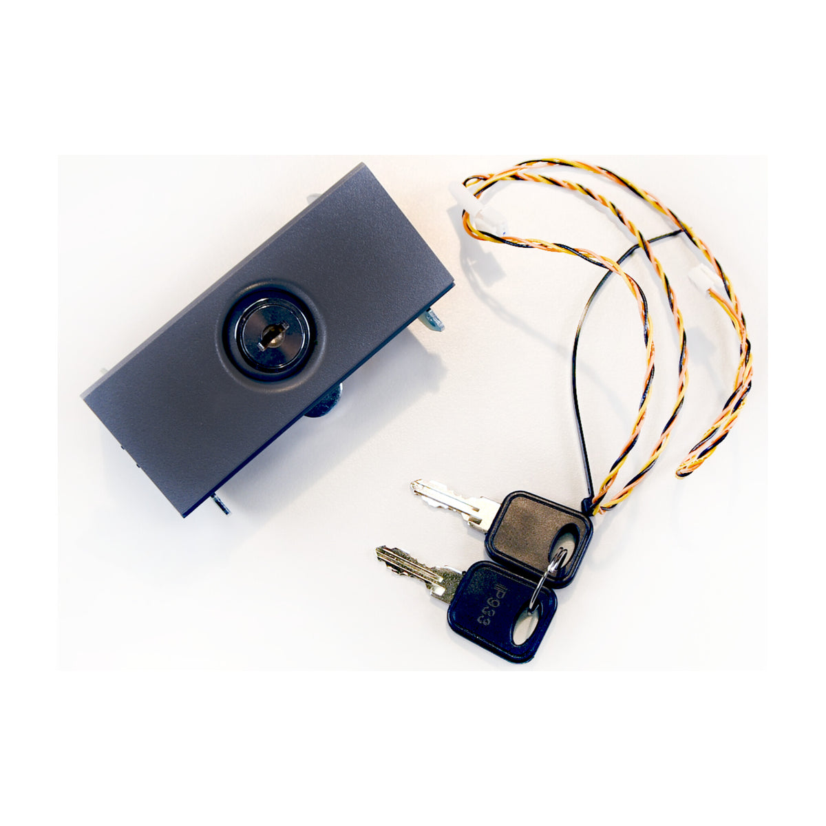 IDP lock plate with key cylinder, two keys and wiring, as used on the SMART-51L film door