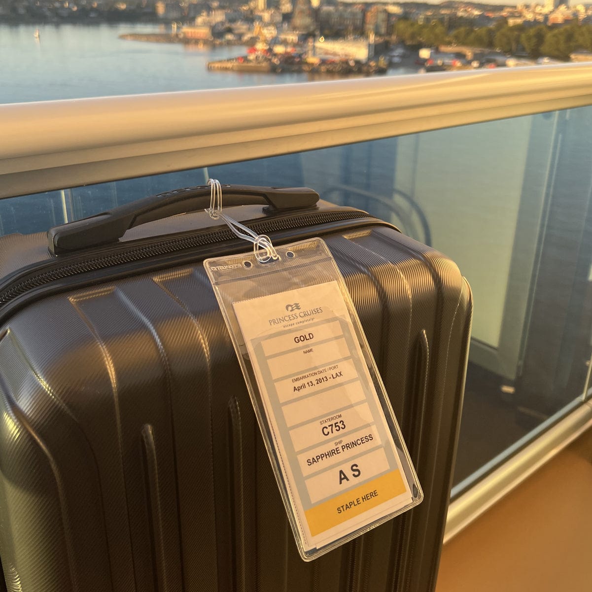Cruisin Through Life™ Clear Luggage Tags for Cruise Ship eTags