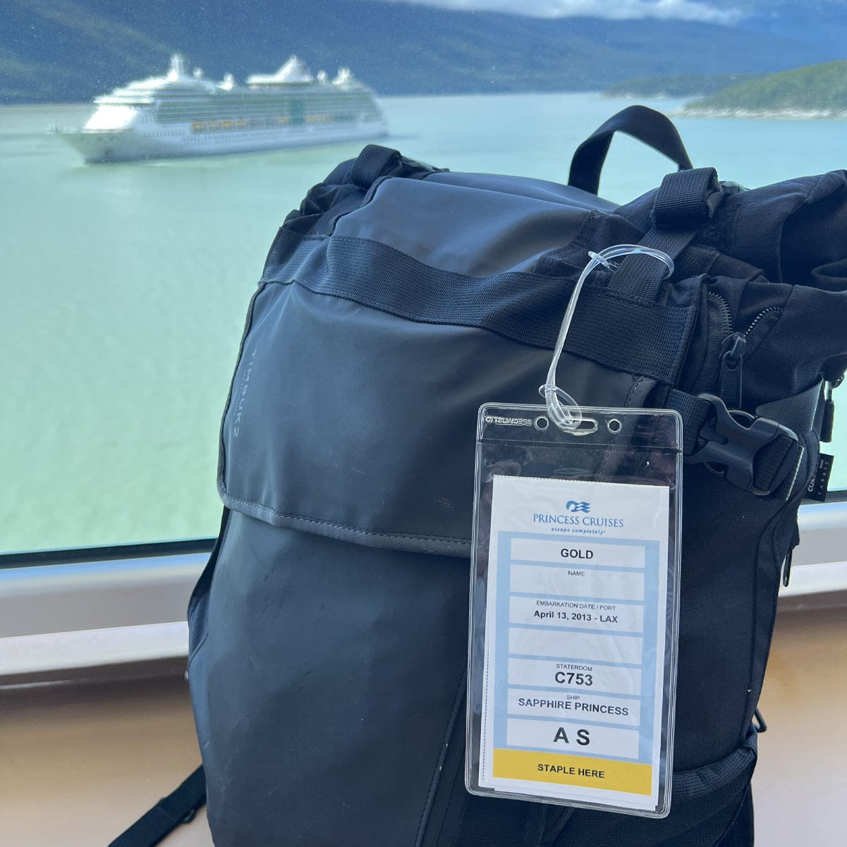 Cruisin Through Life™ Clear Luggage Tags for Cruise Ship eTags